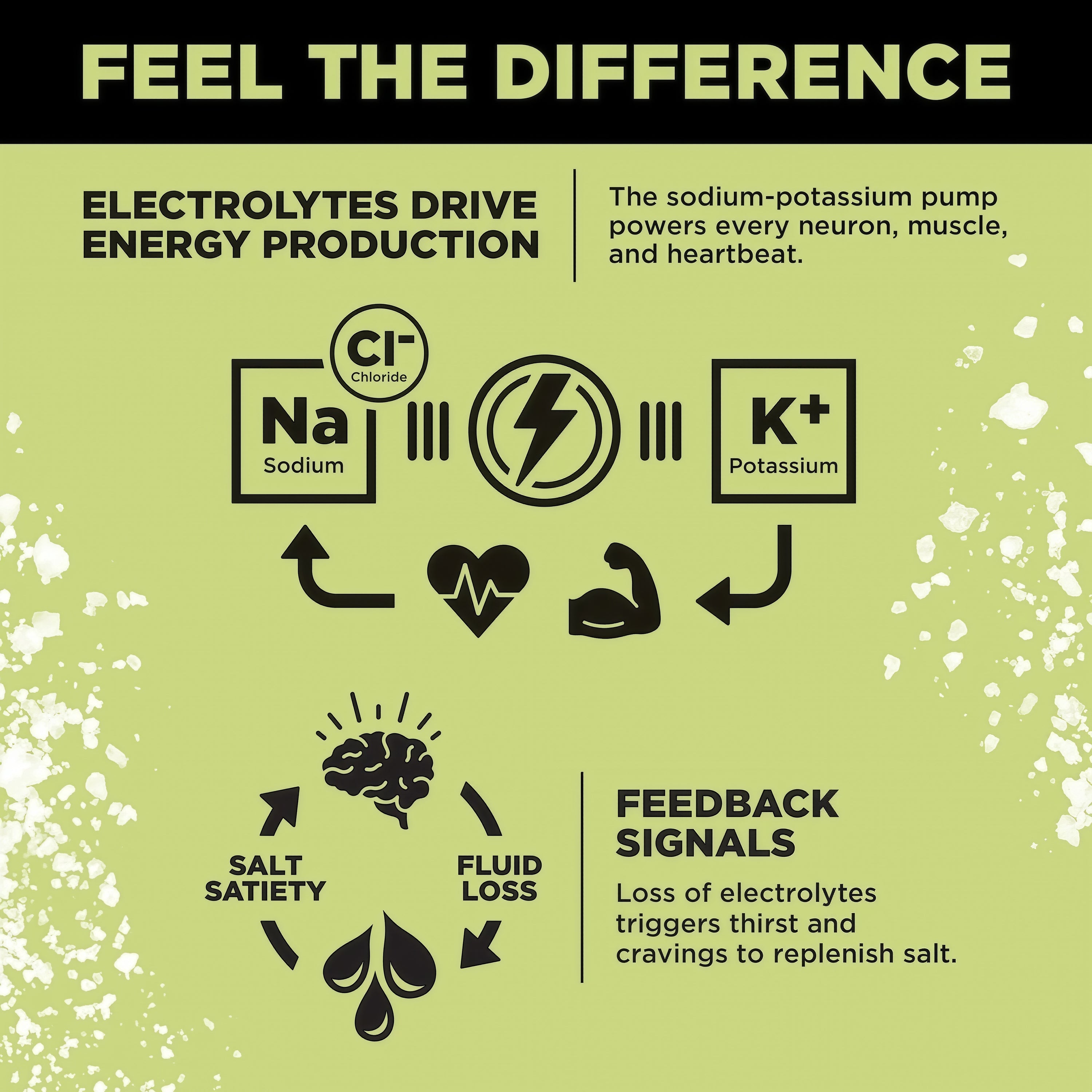 LMNT Zero Sugar Electrolytes